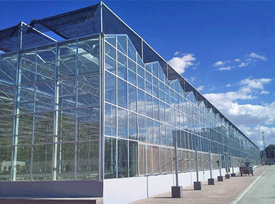 STEEL STRUCTURE GREENHOUSE